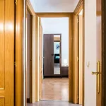 公寓 Apartamento Ainsa