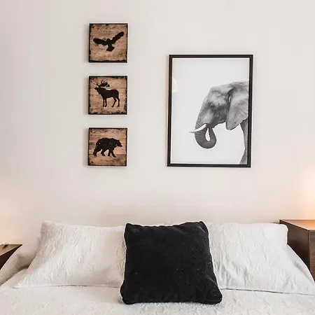 公寓 Apartamento Ainsa *