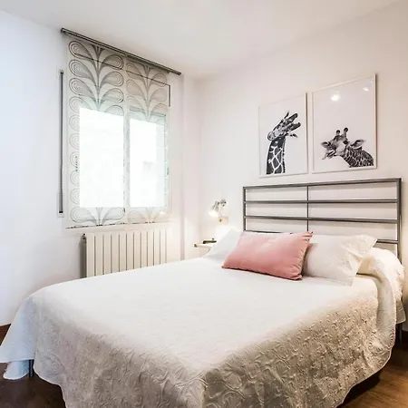 Apartamento Ainsa 公寓 艾因萨