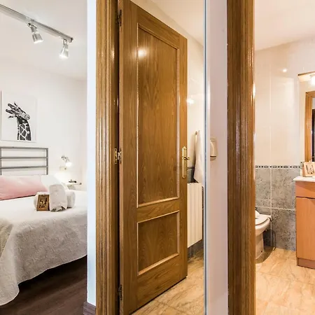 公寓 Apartamento Ainsa *