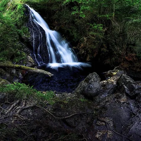 公寓 Apartamento Ainsa *