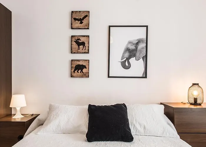 Lägenhet Apartamento Ainsa *