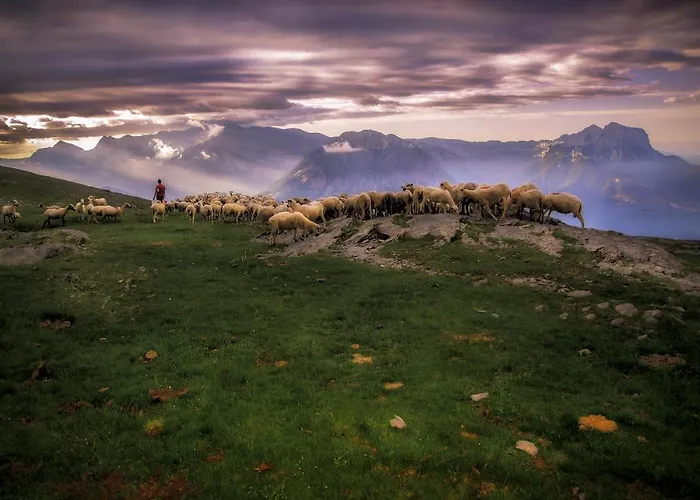 Apartamento Ainsa Lägenhet Aínsa