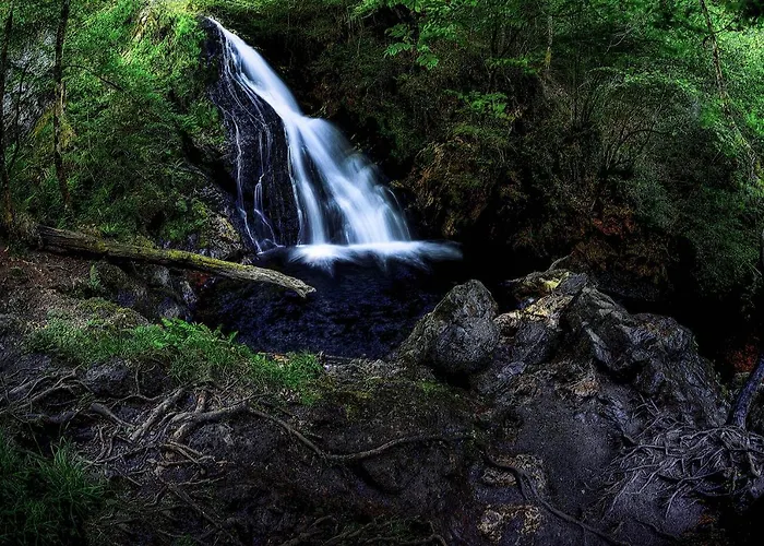 Lägenhet Apartamento Ainsa *